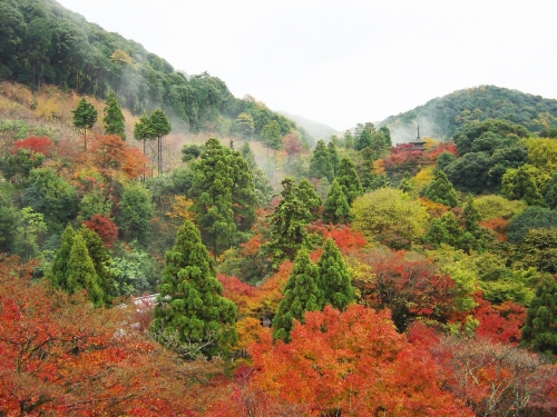 2006 Kyoto